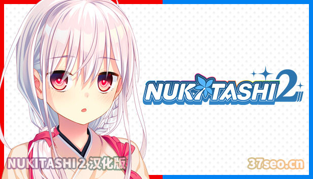 NUKITASHI 2 汉化版[百度网盘下载]