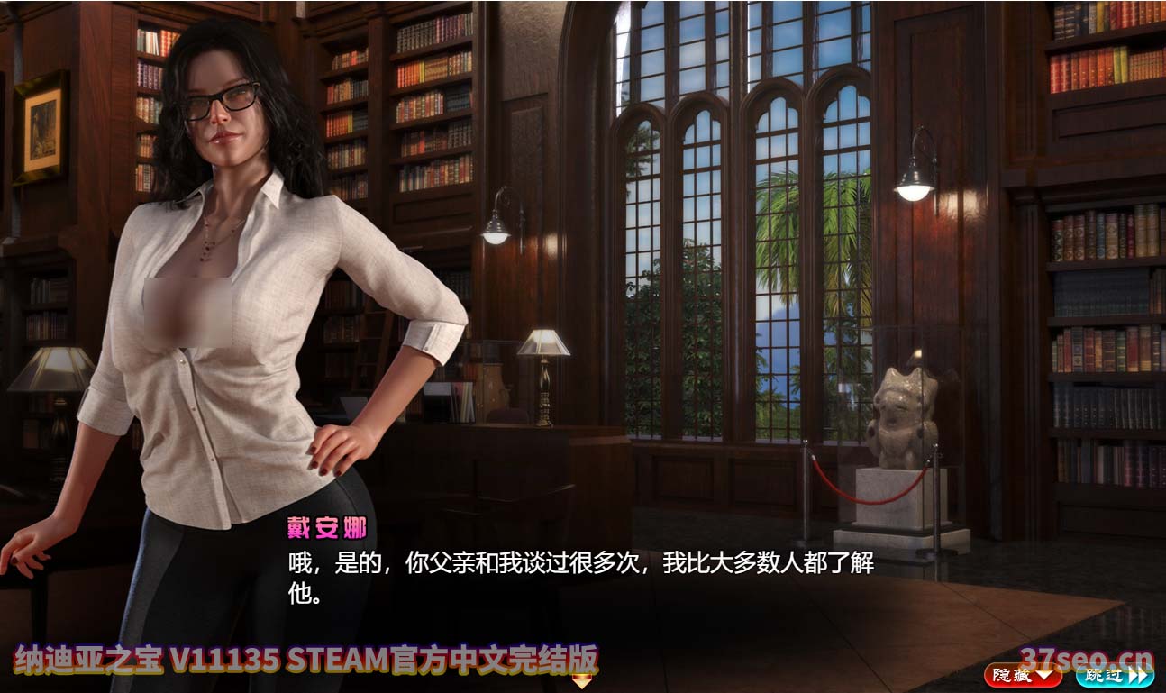 纳迪亚之宝Treasure of Nadia STEAM官方中文完结版+存档+攻略[百度云下载]