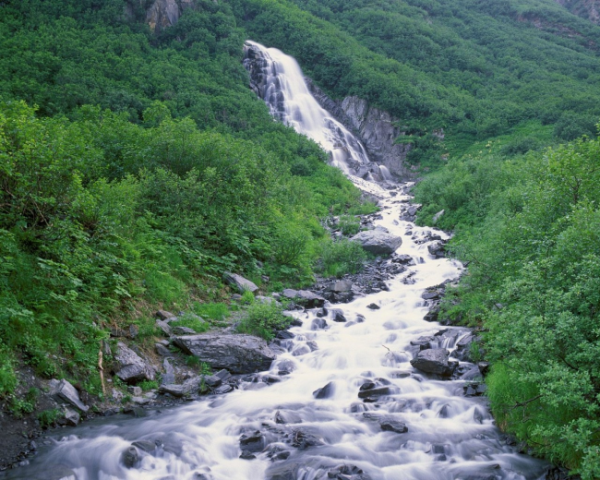 体内有湿气肾虚怎么办，舌苔白厚怎么办儿童