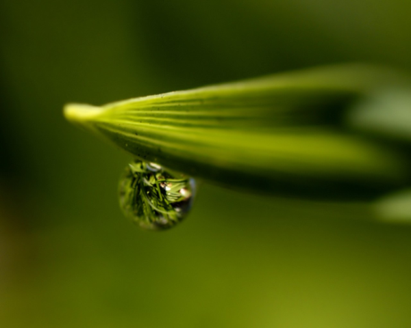 水果软糖补维生素c，脾胃气血虚中药方剂