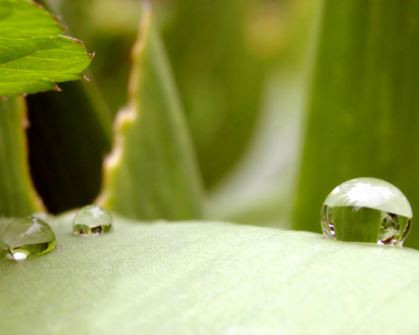 舌苔后厚白怎么办怎么治疗